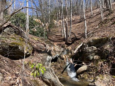 Sorrells Cove Rd, Clyde, NC, 28721