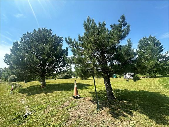 2nd image of Pine Dr