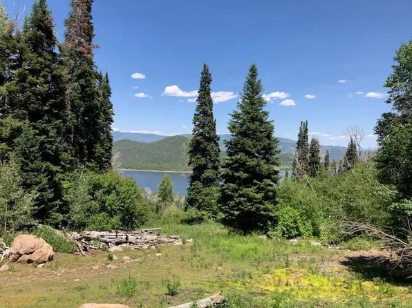 Tbd Overlook Dr, Collbran, CO 81624