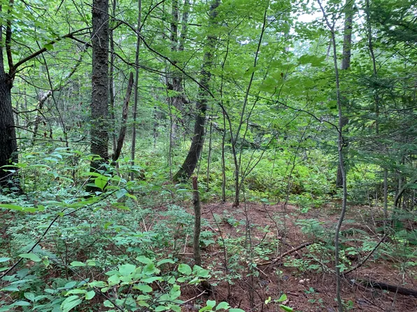 Lot 7 County Road, Livermore Falls, ME 04254
