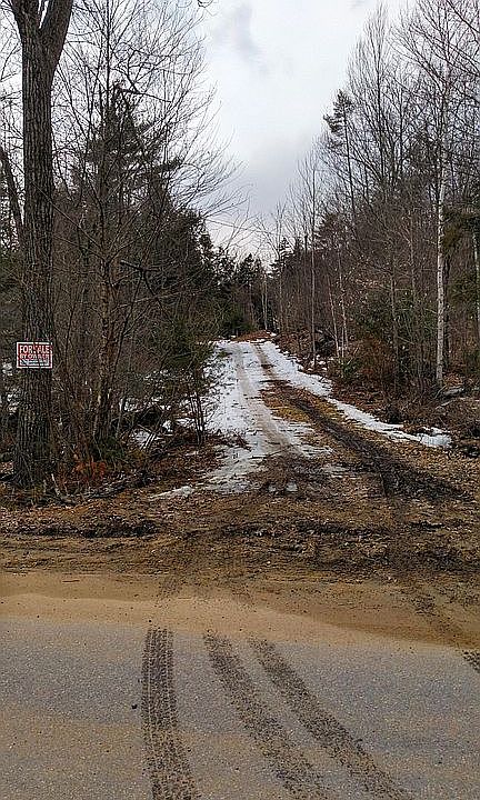 View up driveway from road  