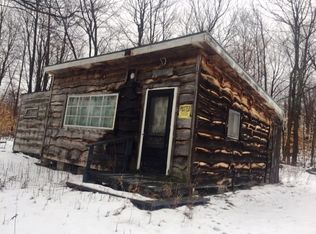 43 Gynn Rd, Parishville, NY 13672