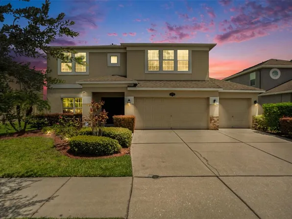 10737 Breaking Rocks Dr, Tampa, FL 33647