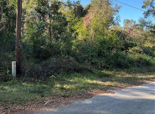 690 Cr, Webster, FL 33597