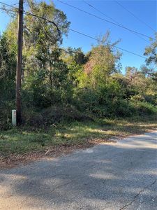 690 Cr, Webster, FL, 33597