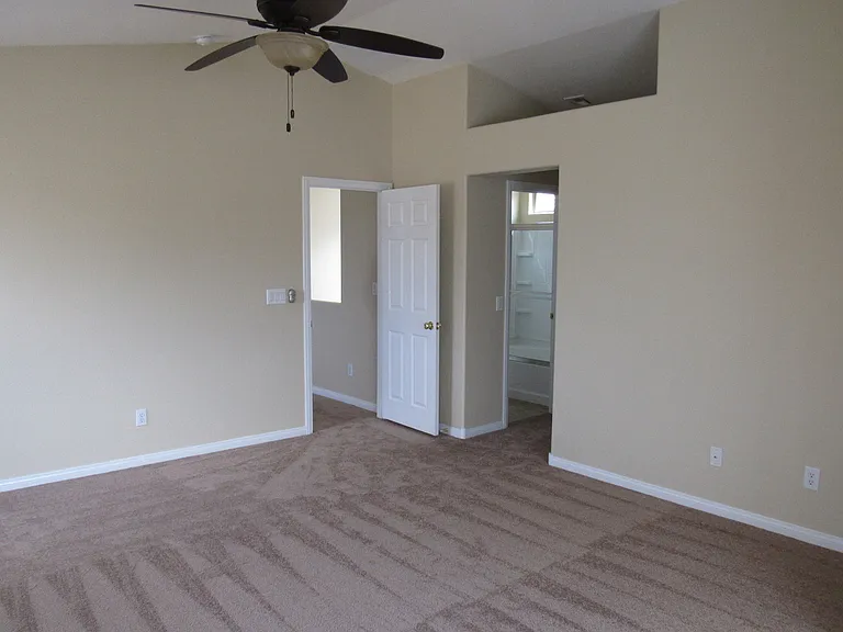 389 Red Eucalyptus Dr — Photo 16