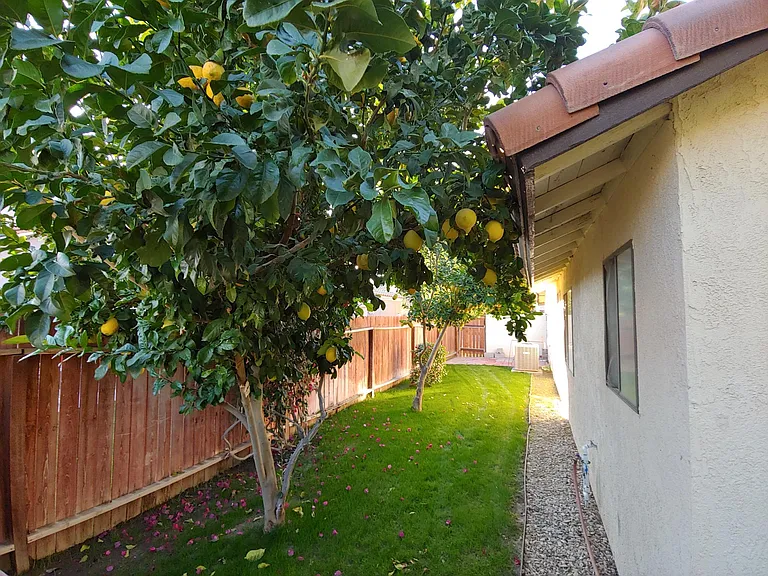 45688 Sutter Creek Way — Photo 23