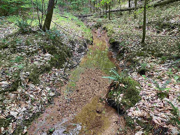 26th image of this home