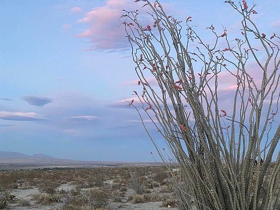4th image of Rango Way