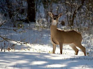 2155 Eastover Rd, Lebanon, TN 37090