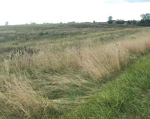 2nd image of 0000 N 14 Hwy
