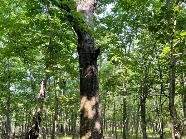 Jossell Rd, Marks, MS 38646