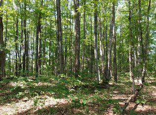 Blackberry Ln, Gaylord, MI 49735