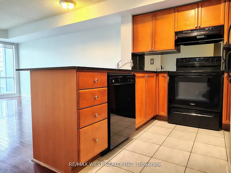 1 Elm Dr W #1301 — Photo 11
