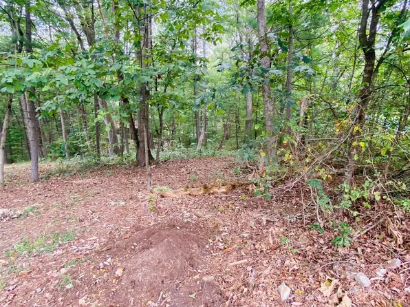 294 Cottonwood Dr, Mount Jackson, VA 22842