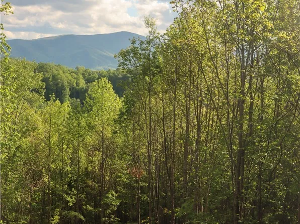 Lot 25 TBD Lake View Drive, Elk Park, NC 28622