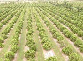 53090 Bermont Rd, Punta Gorda, FL 33982