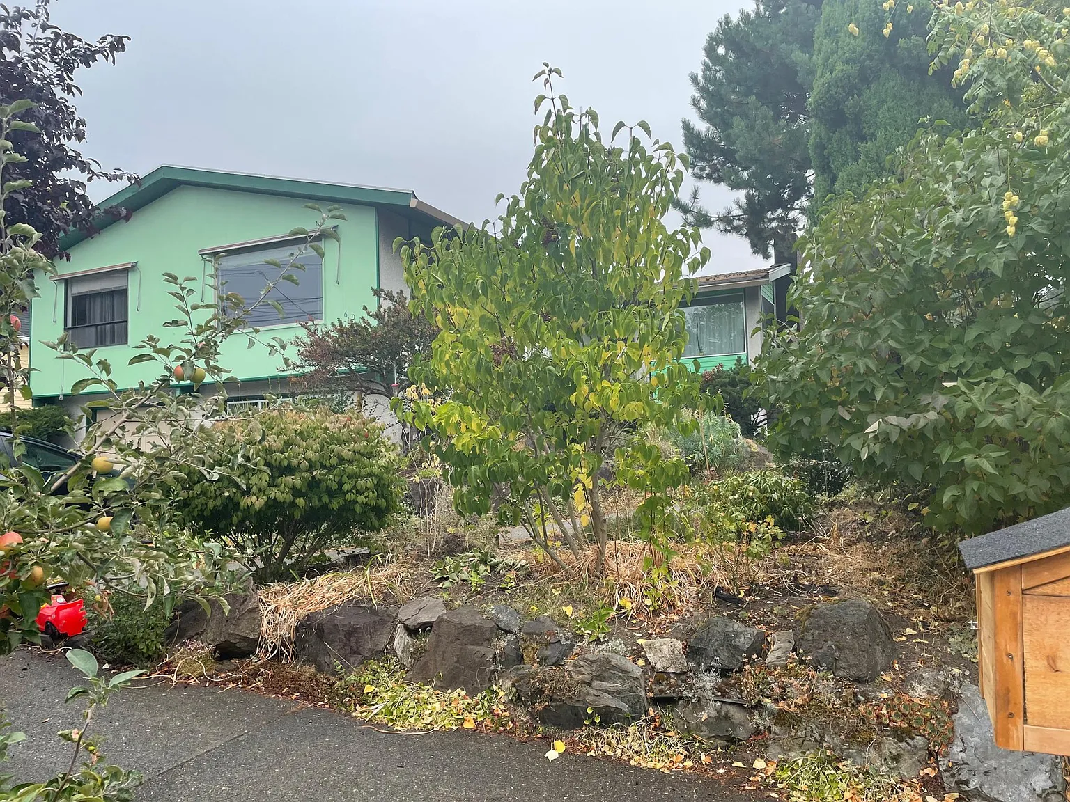 2 bed, 980 sqft, $3,500 — Photo 1