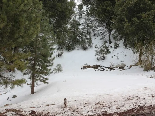 2506 Woodland Dr #222, Pine Mountain Club, CA 93222