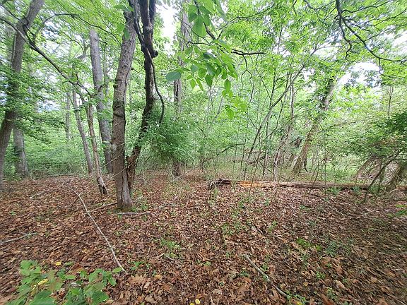 3rd image of LOT 9 Murray Hl