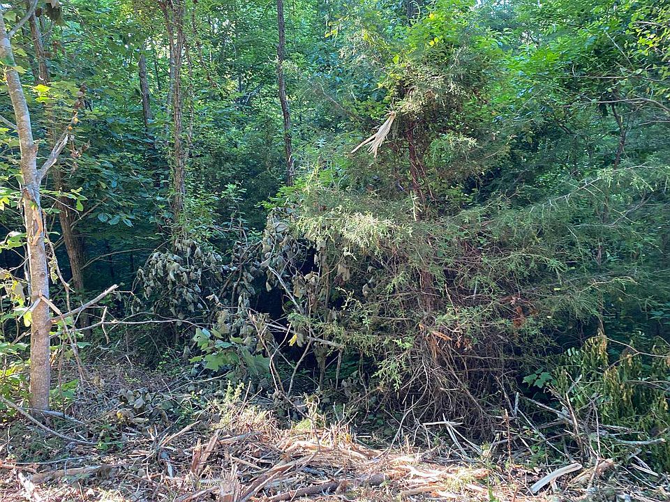 2nd image of Turtle Ridge Trl