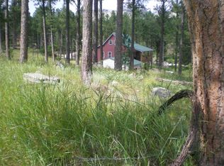 25029 Chandler Dr, Custer, SD 57730