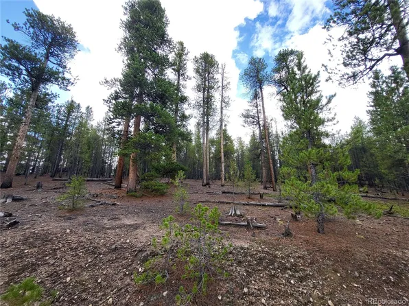 180 Fir Drive, Twin Lakes, CO 80461