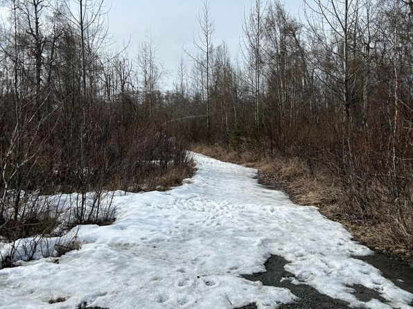 L1 S Trapline Rd, Trapper Creek, AK 99683