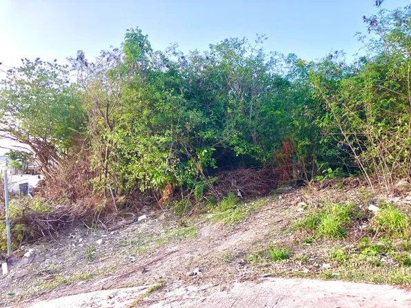 94 V.I. Corp Lands PR, St. Croix, VI