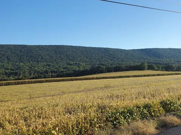 224 Tielman Rd, Ashland, PA 17921