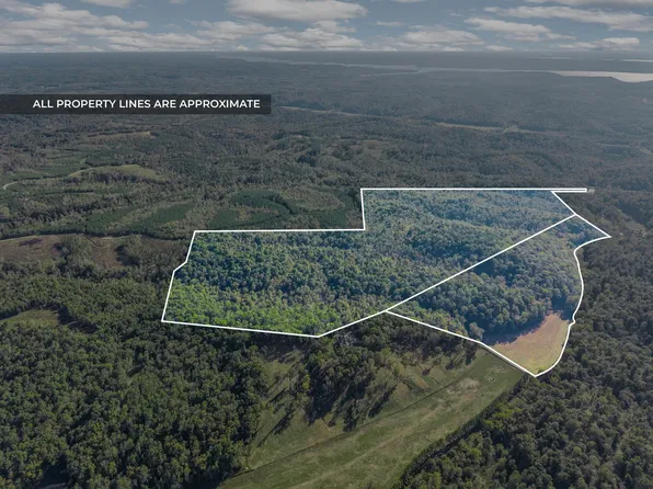 0 Cox Hollow Rd, Dover, TN 37058