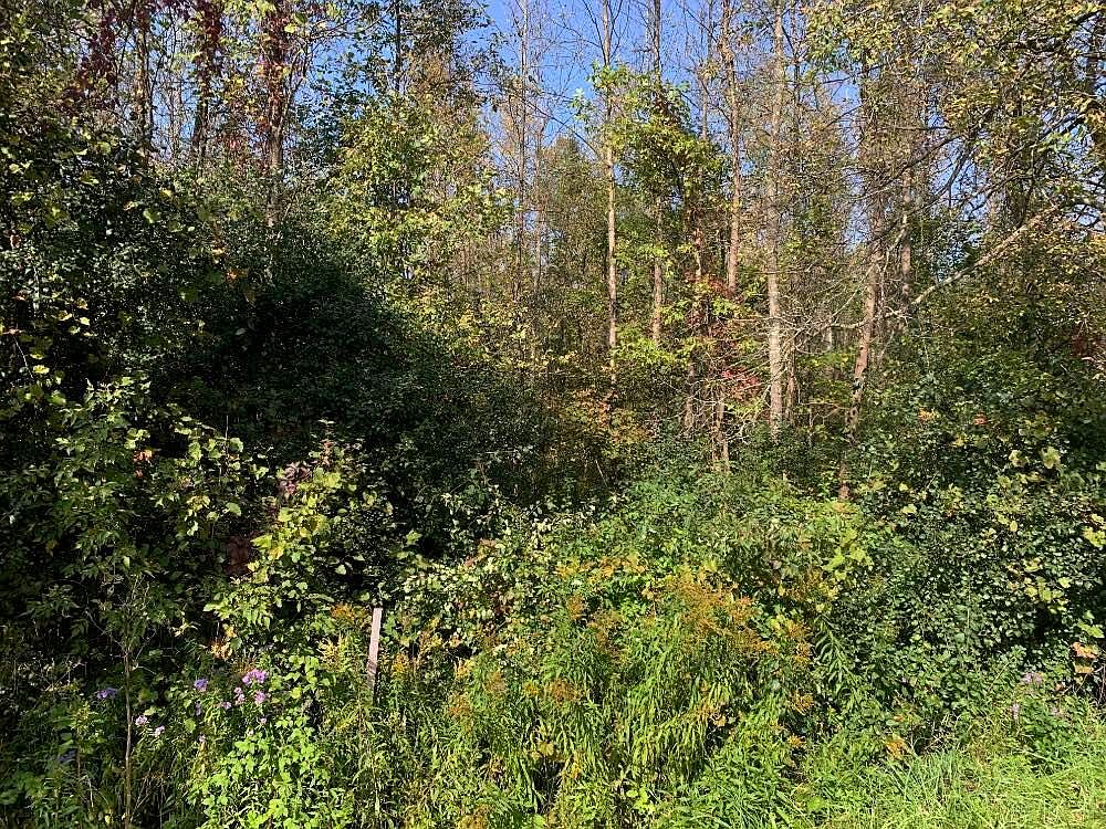 L231 Slosson Rd, Chazy, NY 12921 MLS 200623 Zillow