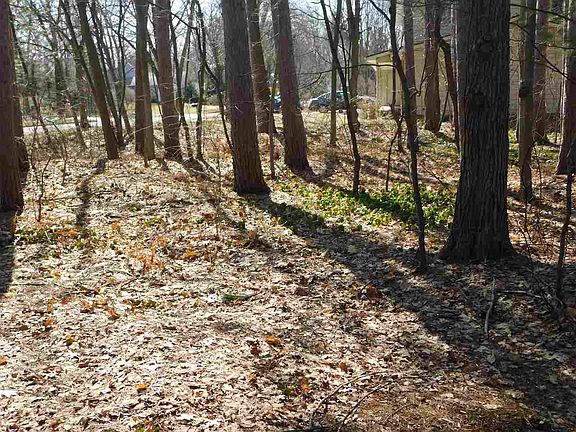 4th image of 6001 Harwood Dr