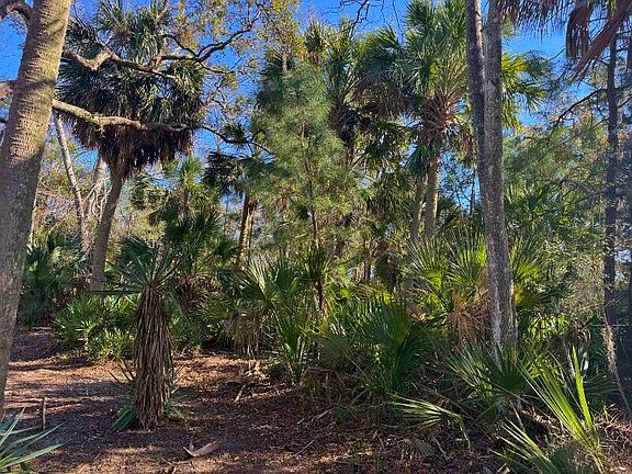 2nd image of 8785 Palmetto Rd