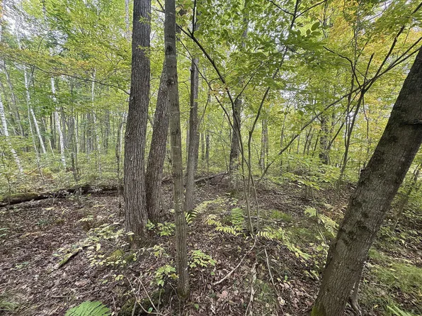 282nd Ave, Holcombe, WI 54745