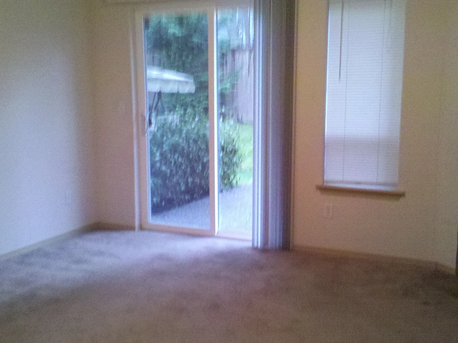 Cypress Glen - 2 — Photo 4
