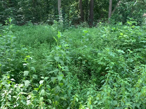 72 American Dr, Montross, VA 22520