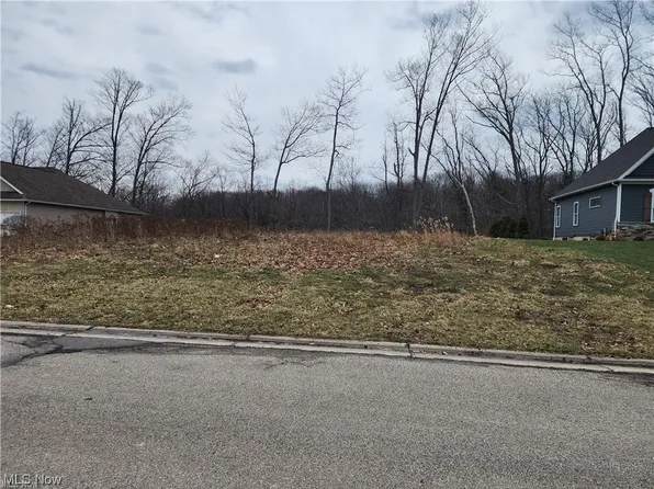 7315 Highbluff Ct, Concord Township, OH 44077