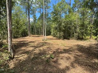 10530 GREGORY Avenue, Hastings, FL 32145