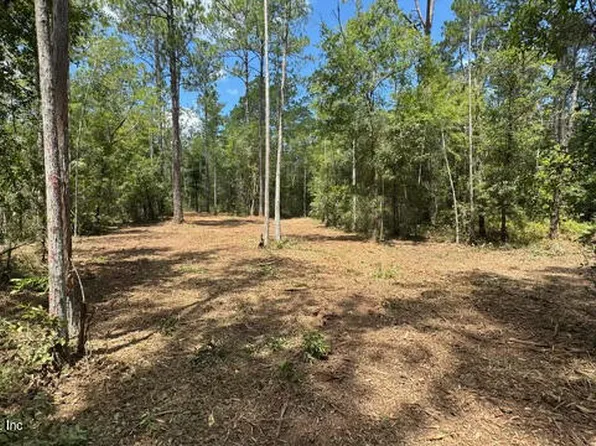 10530 GREGORY Avenue, Hastings, FL 32145