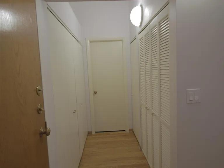 633 S Plymouth Ct #709 — Photo 3