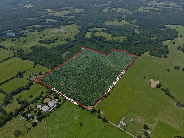 County Road 3180, Cookville, TX 75558