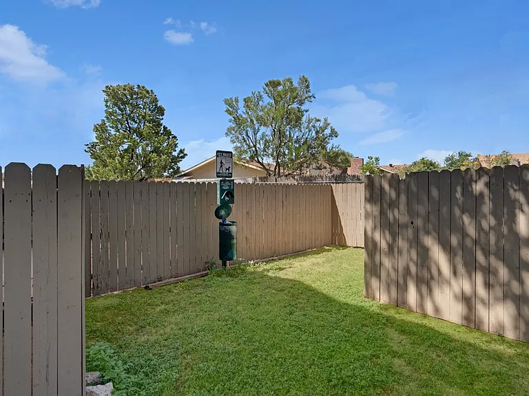 Summertree — Photo 18