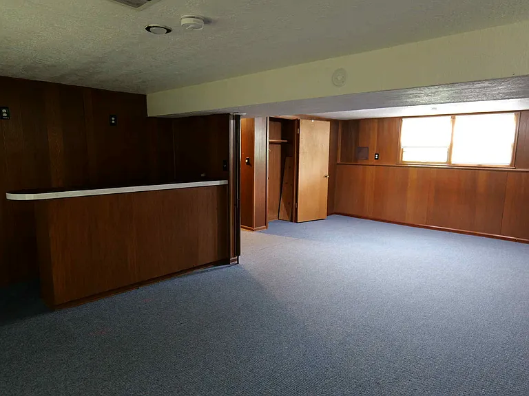 Basement with bar
