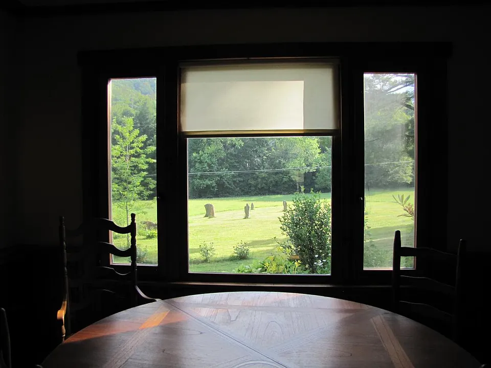 View from the dining room