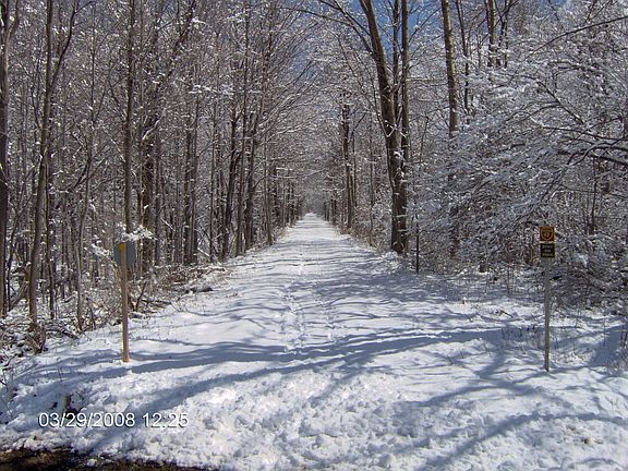 "Rails to trails" path that borders back of property