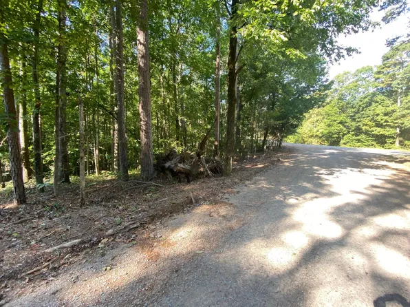 65 Lilly Taylor Rd, Pocahontas, TN 38061