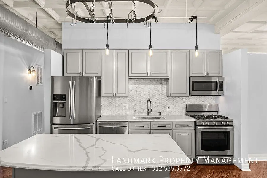 1307 S Wabash Ave Unit 411 — Photo 2
