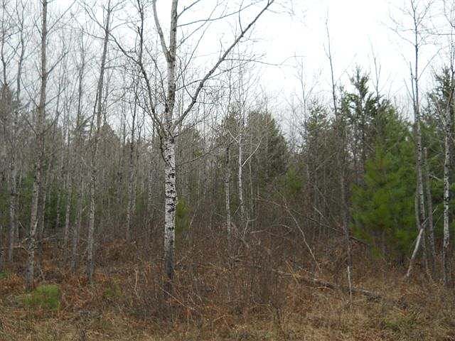 2nd image of LOT 11 Laura Lake Road E Plum Lk Lot 11