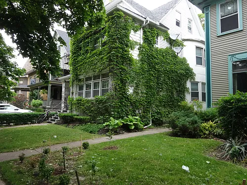 467 Norwood Ave #1F Photo 1